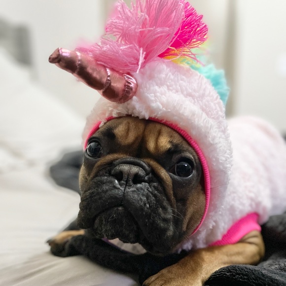 Meet your Posher, Christine - Picture 6 of 10